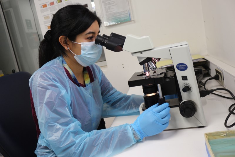 Hospital San Fernando realizó innovadora técnica para detección directa de enfermedad de Chagas en recién nacido