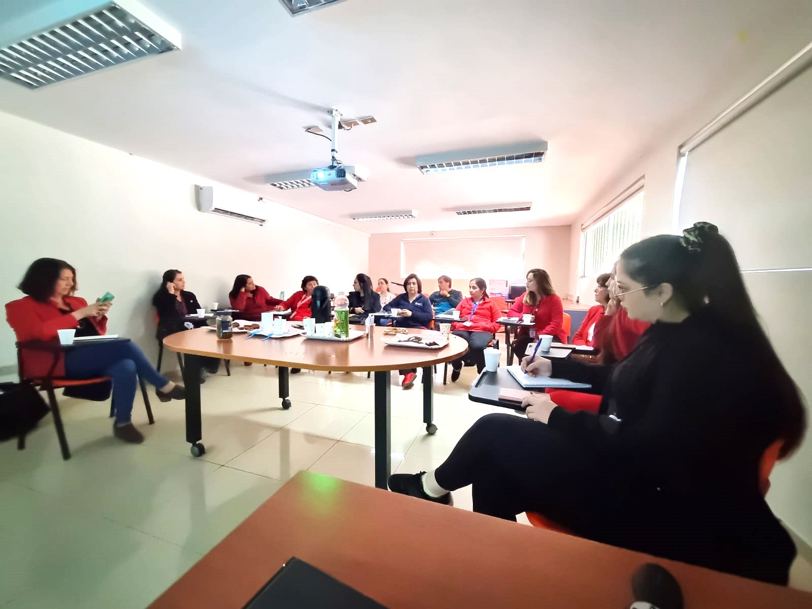 Profesionales de la matronería de la microárea de San Fernando se reunieron para abordar temáticas para 2024